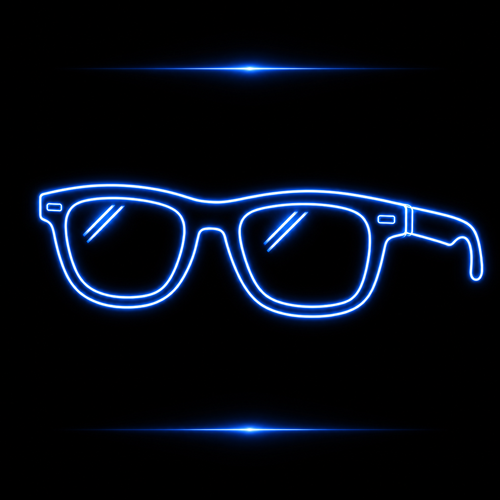 SUNGLASSES ACCESS